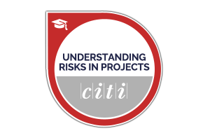 Understanding risks in project management
